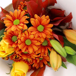 Summer Morning Bouquet - Standard