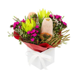 Wondrous Native Wildflower Box - Standard