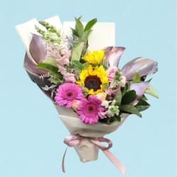 Catch The Light  - Standard