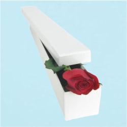 Single Elegant Rose  - Standard