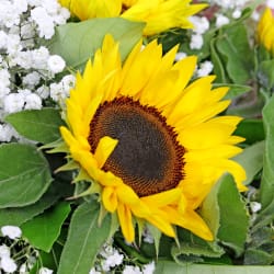 Cheerful Sunflowers Posy - Premium