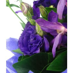 Purple Haze Flower Box - Standard
