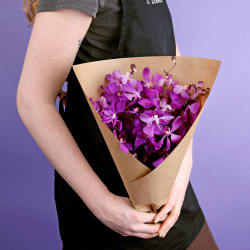 Market Bunch - Purple Vanda - Standard
