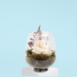 Enchanting - Standard