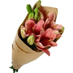 Lily Bunch - Standard