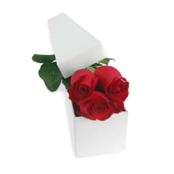 Single Elegant Rose Box - Deluxe
