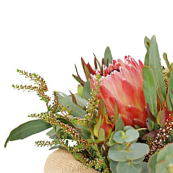 Native Hat Box - Standard