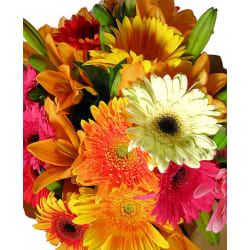 Fun, Bright Bouquet - Premium