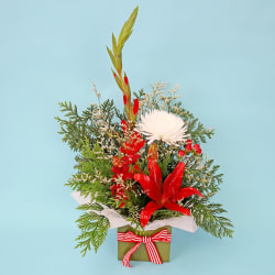 Silent Night - Standard