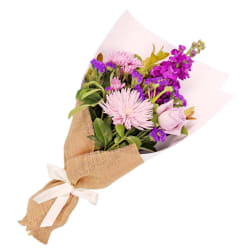 Violet Vale Of Beauty - Standard