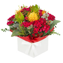 Wondrous Native Wildflower Box - Deluxe