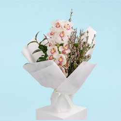 Cymbidium Paradise Bouquet - Standard