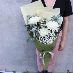 Darling Disbuds - Standard