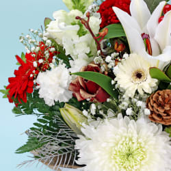 Florist Choice Christmas Box  - Premium