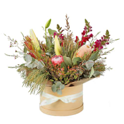 Native Hat Box - Deluxe