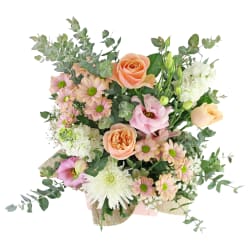 Pastel Parfait - Standard