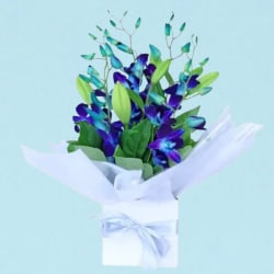 Making Magic - Blue  - Standard