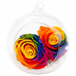 Preserved Rainbow Rose Orb - Deluxe