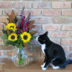 Sunny Style Bright Bouquet - Standard