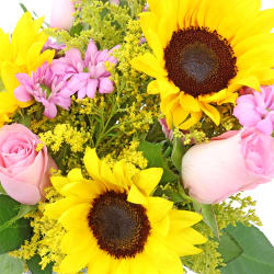 Pocket Full Of Pink Sunshine  - Premium