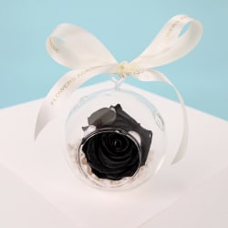 Preserved Black Rose Orb  - Standard