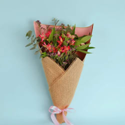 Alstroemeria Bunch - Standard