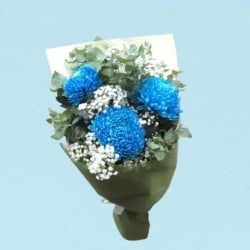 Darling Disbuds - Blue  - Standard