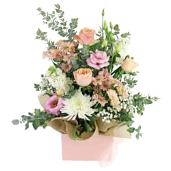 Pastel Parfait - Standard