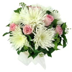 Isn't She Lovely - Standard