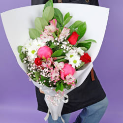 Exotic Summer Sensation - Standard