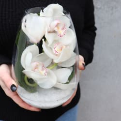 Beauty Beheld Cymbidium Orchid Vase - Standard