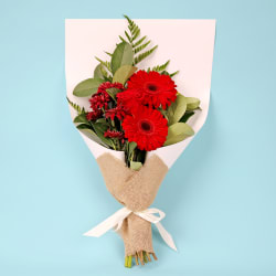 Rubylicious  - Standard