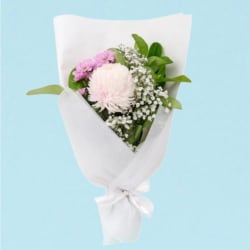 Little Pink Thinking Of You  - Standard