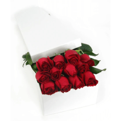 12 Elegant Roses - 12 Roses (One Dozen)