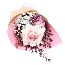 Little Elegant Fantasy - Standard