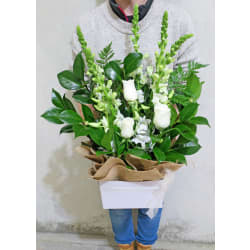 Purr Fection - Standard