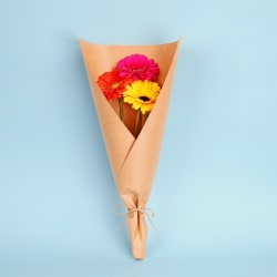 Market Gerbera Stems  - Standard