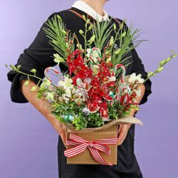 Christmas Treat  - Standard