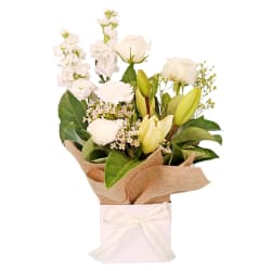 Gentle Solace Bloombox  - Standard