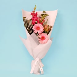 Peach Perfection - Standard