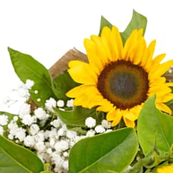 Cheerful Sunflowers Posy - Standard