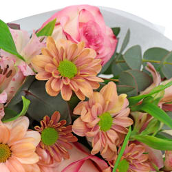 Love Unfolds Pastel Flower Bouquet  - Standard