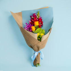 Tropical Punch  - Standard