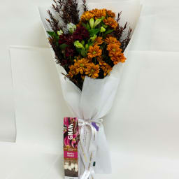 Daily Bouquet — Alstroemeria, Afterdark & Hot Chocolate Bliss