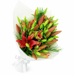 Red Lily Bunch