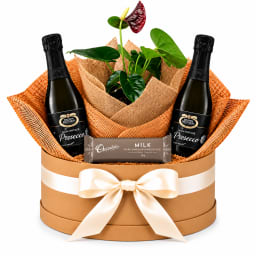 ❤️🥂 Anthurium, Bubbles & Chocolate Plant Hamper 🥂❤️