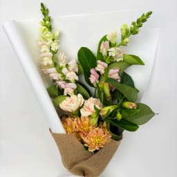 Daily Bouquet Symphony of Soft Petals