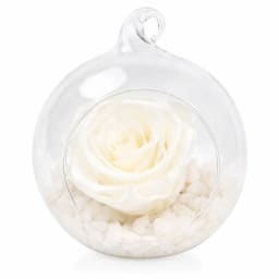 Preserved White Rose Orb