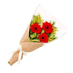 Gallant Gerberas