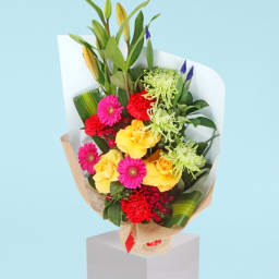 Big Blooms Summer Shine